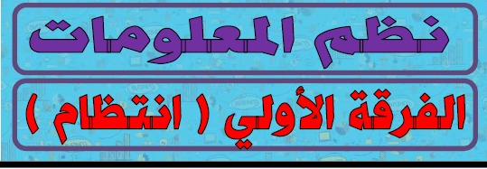 نظم المعلومات والحاسب أولي (انتظام)